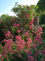 IMG_20250619_075746_1.jpg
