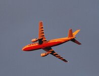 Dhlkuo81.jpg