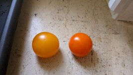 IMG_20250619_111917.jpg
