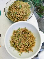 IMG_20250619_114303.jpg