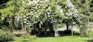 20250619_113318.webp