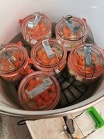 IMG_20250616_161649.jpg