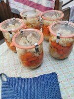IMG_20250518_194427.jpg