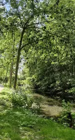 IMG-20250619-WA0015.jpg