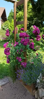 IMG-20250619-WA0007.webp