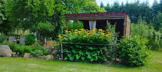 IMG-20250619-WA0003.webp