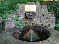 IMG_20250601_162738.jpg
