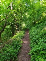 IMG_20250601_162519.jpg