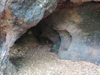 IMG_20250601_160222.jpg
