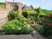 IMG_20250601_164107~2.jpg