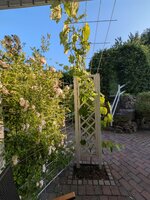 2025_06_19_hinten.jpg