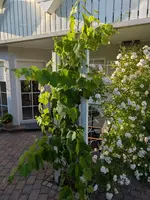 2025_06_19_seite.webp