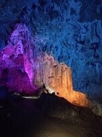 IMG_20250613_135152.jpg