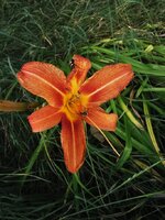 IMG_20250619_164209.jpg