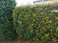 IMG_20250620_200351 (1).webp IMG_20250620_200351 (1).webp