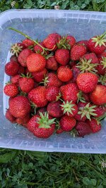 PXL_20250621_064254196.jpg