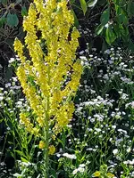 IMG_20250620_101449~2.jpg