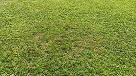 IMG_20250621_162022.jpg