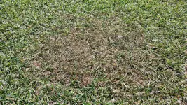 IMG_20250621_161959.webp