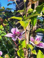 20250622_075805.jpg