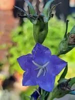 20250622_075856.webp
