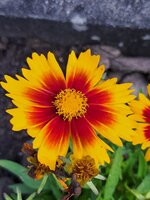 20250622_080017.jpg