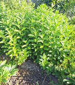 20250622_080406.jpg
