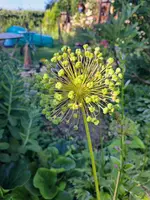 20250622_080416.webp