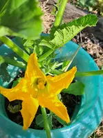 20250622_080722.webp