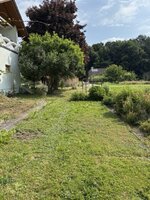 Mittel (IMG_0603).jpeg