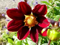 011.webp