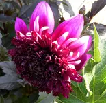 005.webp