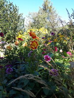 20230904_104235.jpg