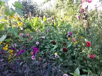 20240820_172826.webp