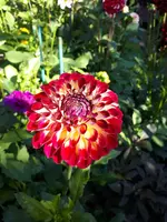 20240730_175940.webp