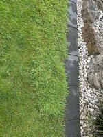 IMG_2829.jpeg