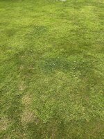 IMG_2831.jpeg