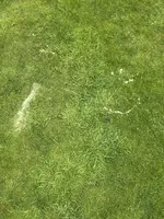 IMG_2830.webp