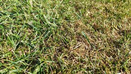 IMG_20250622_173900.jpg