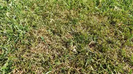 IMG_20250622_173850.webp