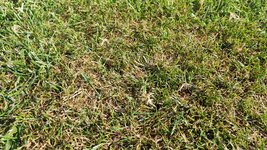 IMG_20250622_173850.jpg