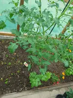 20250622_174619.webp