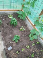 20250622_174631.jpg