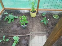 20250622_174639.jpg