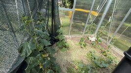 IMG_4740.jpeg