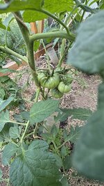 IMG_4750.jpeg