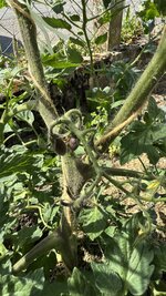 IMG_4759.jpeg