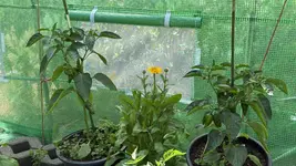 IMG_4762.jpeg