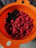 IMG_20250622_100904.jpg