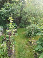 IMG_20250614_082053.jpg